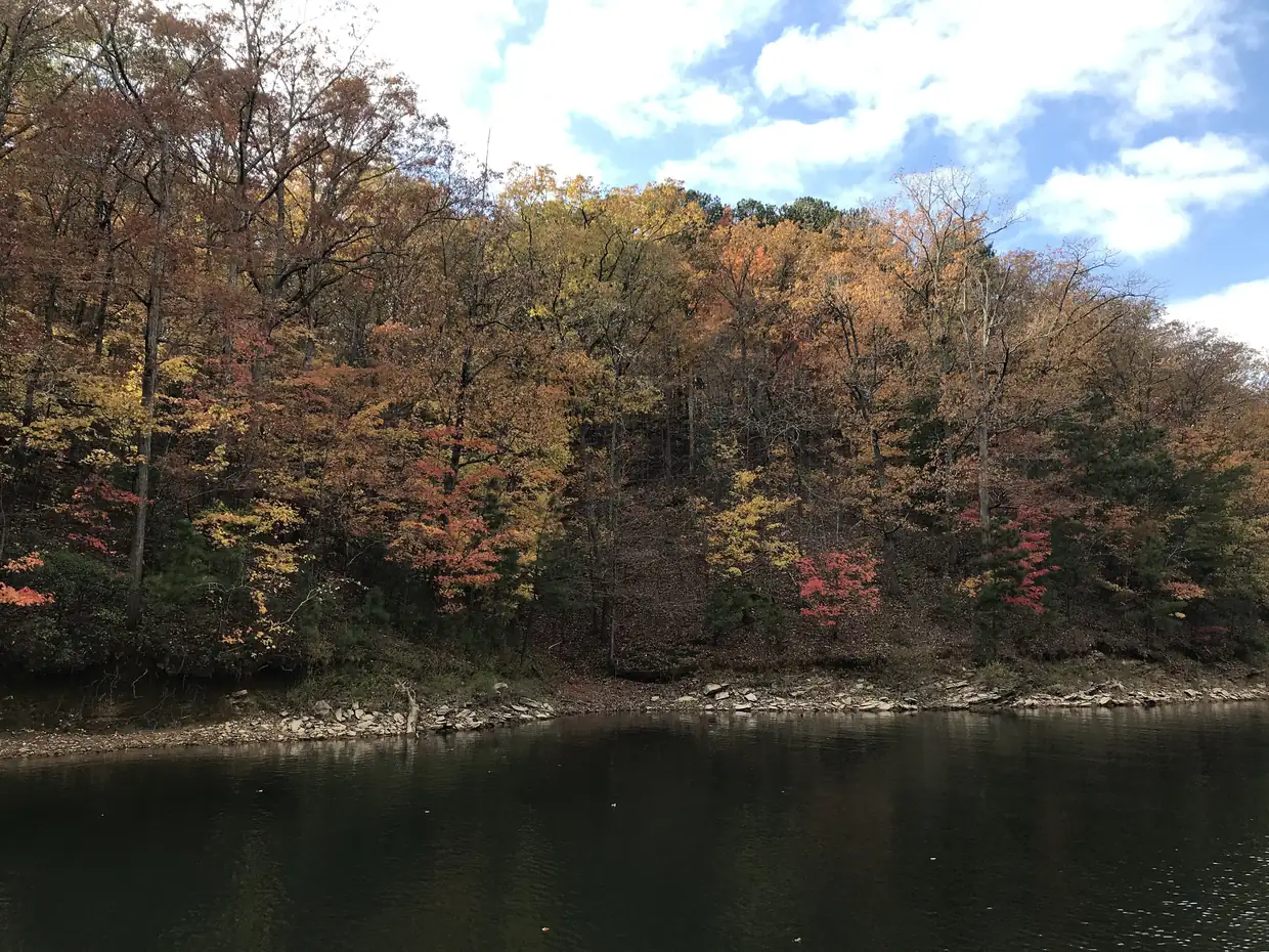 Dark still water in the foreground with a rocky shoreline and a wooded hillside of red, orange and yellow autumn trees under a blue sky with white clouds.