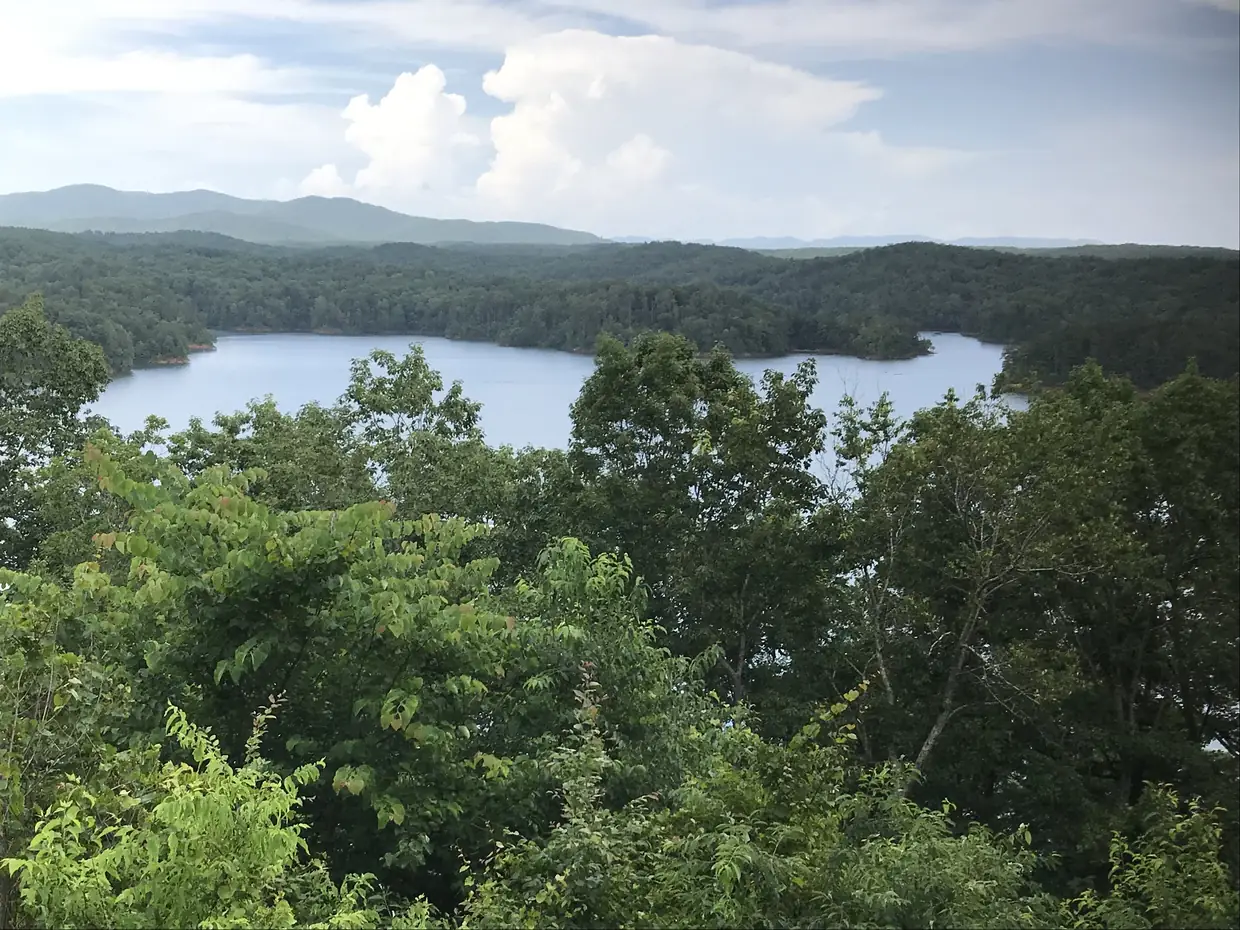 An elevated view over green summer treetops to a broad lake ringed by wooded shores, with a mountain ridge on the left horizon and billowing white clouds.