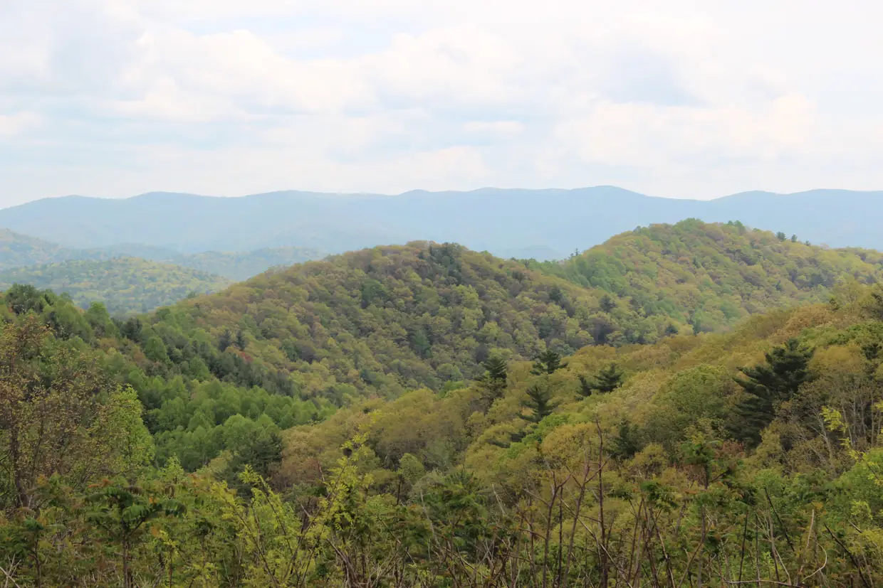 Layered forested ridges in fresh spring green rolling toward a long blue mountain range on the horizon under a soft white cloudy sky.