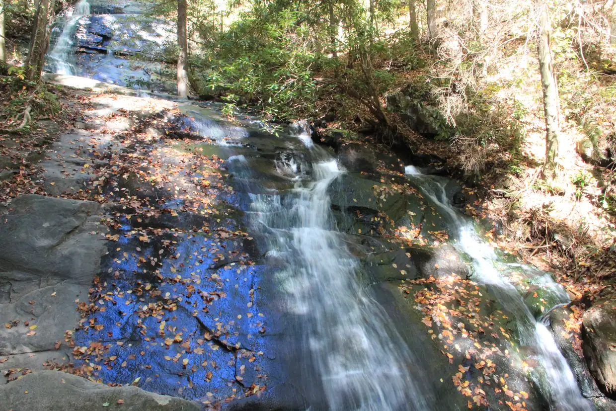 A cascade of white water sliding over broad, dark rock ledges scattered with fallen autumn leaves, with sunlit woods around the falls.
