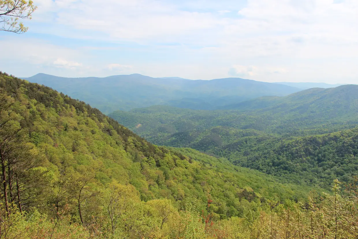 A view from a mountainside over steep forested ridges and valleys in fresh spring green, with a long blue mountain ridge on the horizon.