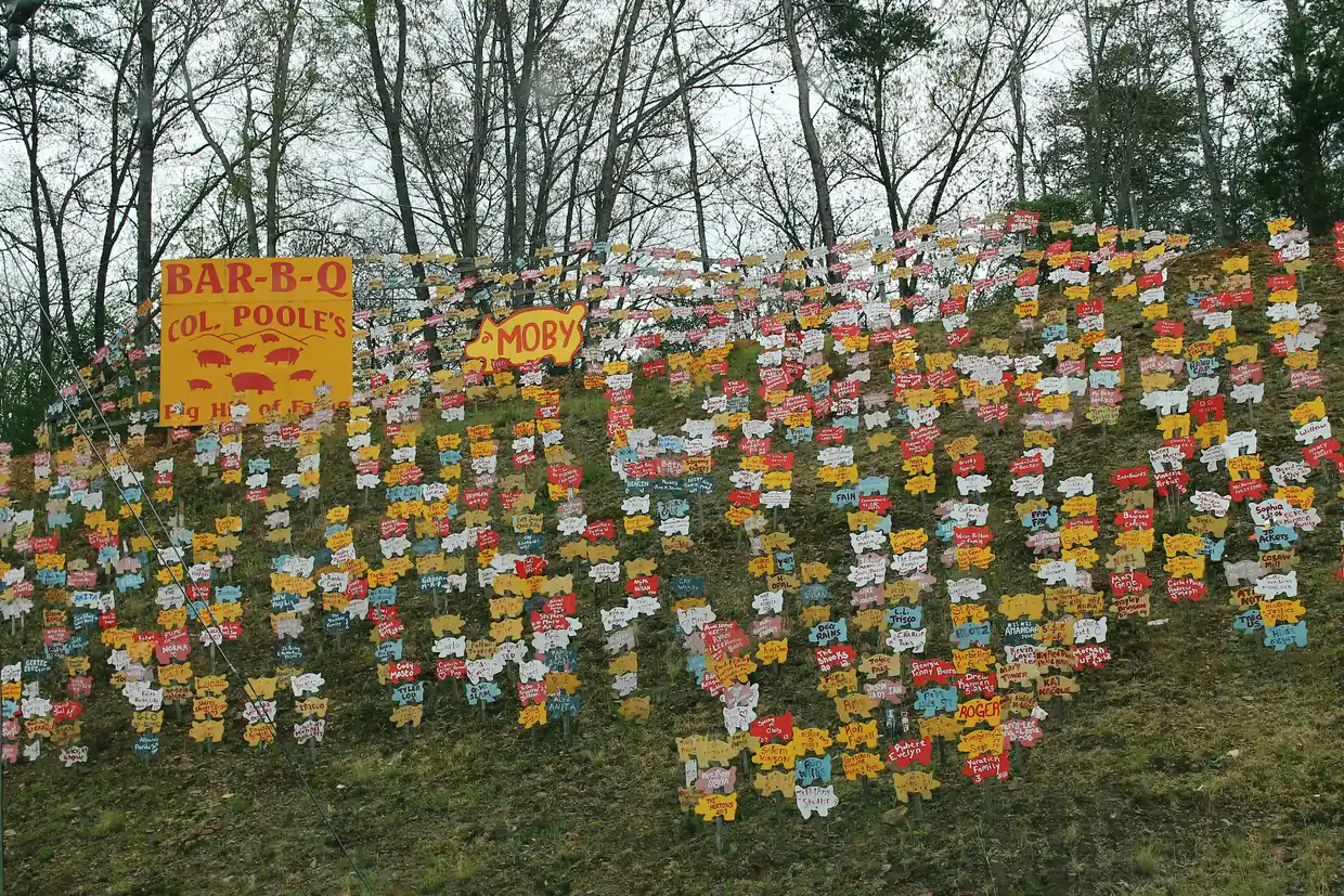 A grassy hillside planted with rows of small pig-shaped plywood signs, with a large orange billboard reading BAR-B-Q, COL. POOLE'S and Pig Hill of Fame on the left, under a blue sky.