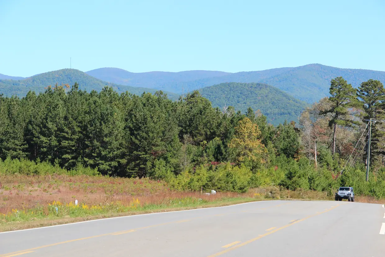 A two-lane road curving past a field of tall grass and a dark stand of pines, with layered blue mountain ridges under a clear sky and a single pickup truck in the distance.