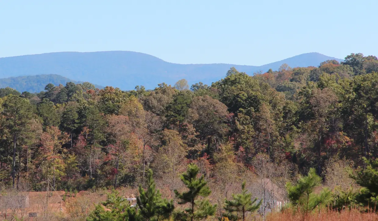 Autumn woods of red, orange and green trees in the foreground with two blue mountain summits on the horizon under a pale clear sky.